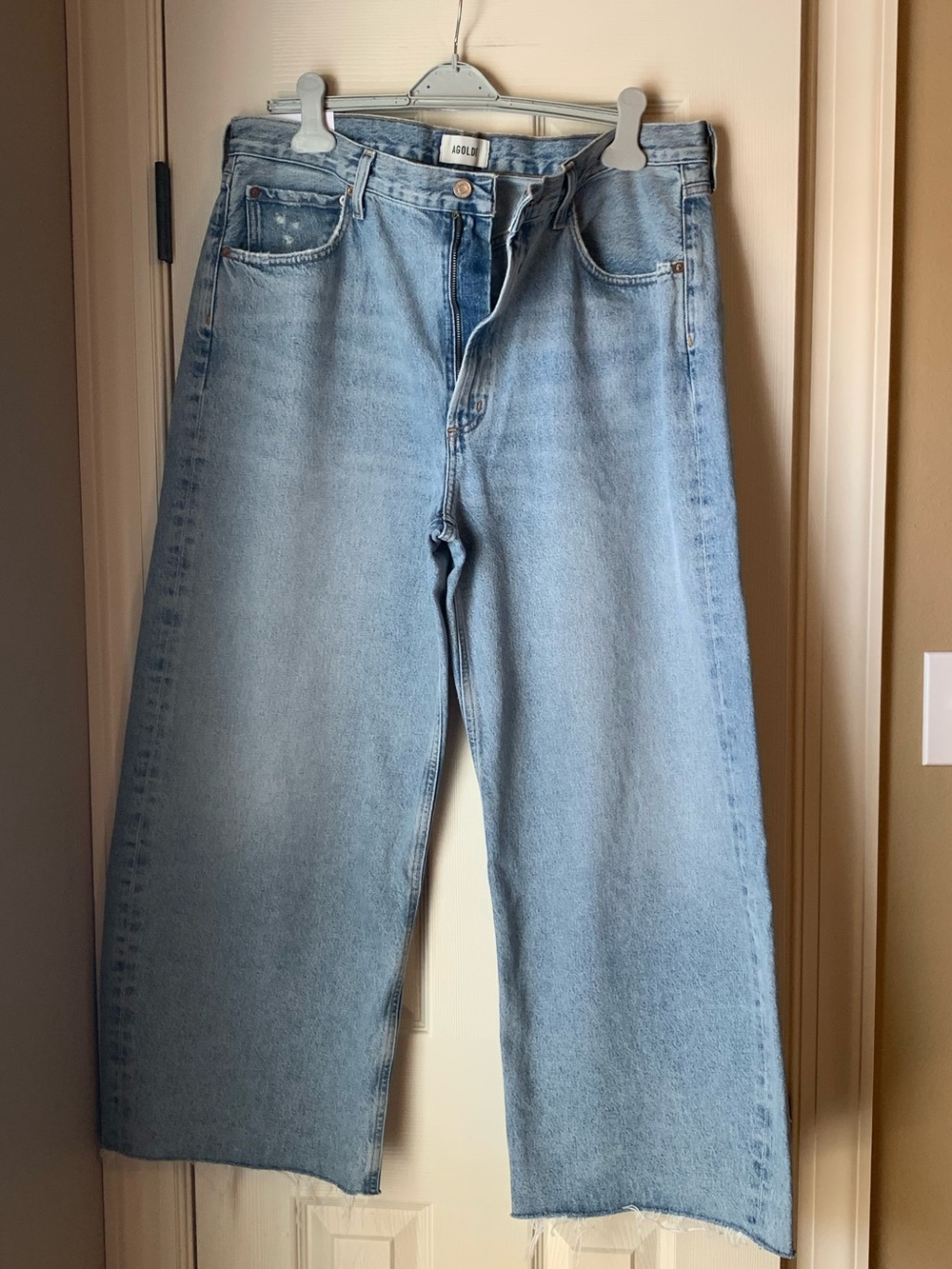 NWT - Agolde Ren - High Rise Wide Leg - Low  Curve Fray - Force - Size 34